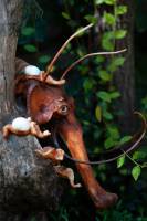 Pablo BAILLEUL - Bailleul